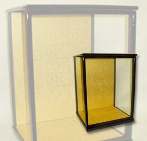 �l�`�P�[�X�ʐ^