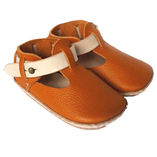 �t�@�[�X�g�V���[�Y�@teo(�e�I) [2-A-teo]