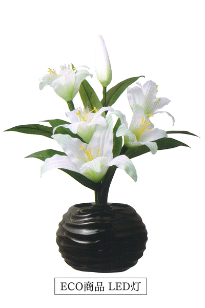 ���~�i�X�@���S���@�k�d�c [8-UR816]